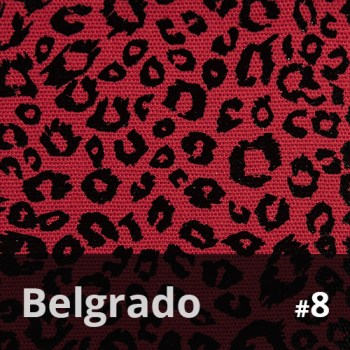 Belgrado 8
